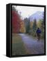 Man Riding on Paved Trail, Franconia Notch, New Hampshire, USA-Merrill Images-Framed Stretched Canvas