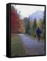 Man Riding on Paved Trail, Franconia Notch, New Hampshire, USA-Merrill Images-Framed Stretched Canvas