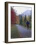 Man Riding on Paved Trail, Franconia Notch, New Hampshire, USA-Merrill Images-Framed Photographic Print