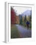 Man Riding on Paved Trail, Franconia Notch, New Hampshire, USA-Merrill Images-Framed Photographic Print