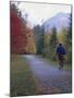 Man Riding on Paved Trail, Franconia Notch, New Hampshire, USA-Merrill Images-Mounted Photographic Print