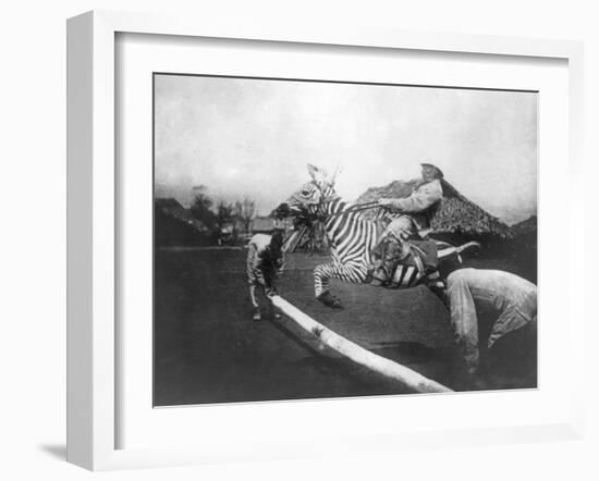 Man Riding Zebra Jumping Fence Photograph - Africa-Lantern Press-Framed Art Print