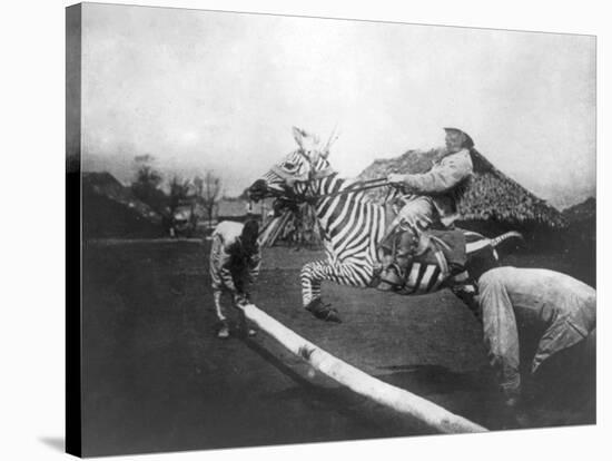 Man Riding Zebra Jumping Fence Photograph - Africa-Lantern Press-Stretched Canvas