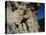 Man Rock Climbing-null-Stretched Canvas