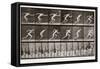 Man Running, Plate 59 from Animal Locomotion, 1887 (B/W Photo)-Eadweard Muybridge-Framed Stretched Canvas