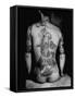 Man's Back Tattooed of a Man Dancing with a Chrysanthemum, Design Known as the "Gambler's Tattoo"-Alfred Eisenstaedt-Framed Stretched Canvas