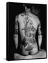 Man's Back Tattooed of a Man Dancing with a Chrysanthemum, Design Known as the "Gambler's Tattoo"-Alfred Eisenstaedt-Framed Stretched Canvas