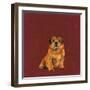 Man's Best Friend I-Debbie Nicholas-Framed Photographic Print