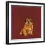 Man's Best Friend I-Debbie Nicholas-Framed Photographic Print