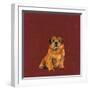 Man's Best Friend I-Debbie Nicholas-Framed Photographic Print