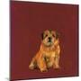 Man's Best Friend I-Debbie Nicholas-Mounted Photographic Print