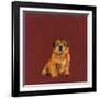 Man's Best Friend I-Debbie Nicholas-Framed Photographic Print