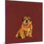 Man's Best Friend I-Debbie Nicholas-Mounted Photographic Print