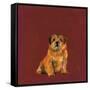 Man's Best Friend I-Debbie Nicholas-Framed Stretched Canvas