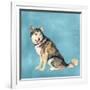 Man's Best Friend II-Debbie Nicholas-Framed Photographic Print