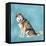 Man's Best Friend II-Debbie Nicholas-Framed Stretched Canvas