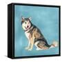 Man's Best Friend II-Debbie Nicholas-Framed Stretched Canvas