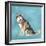 Man's Best Friend II-Debbie Nicholas-Framed Photographic Print