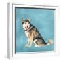 Man's Best Friend II-Debbie Nicholas-Framed Photographic Print