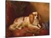 Man's Best Friend-Arthur James Stark-Stretched Canvas