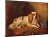 Man's Best Friend-Arthur James Stark-Mounted Giclee Print