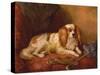 Man's Best Friend-Arthur James Stark-Stretched Canvas