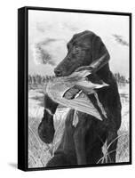 Man's Best Friend-Chuck Black-Framed Stretched Canvas