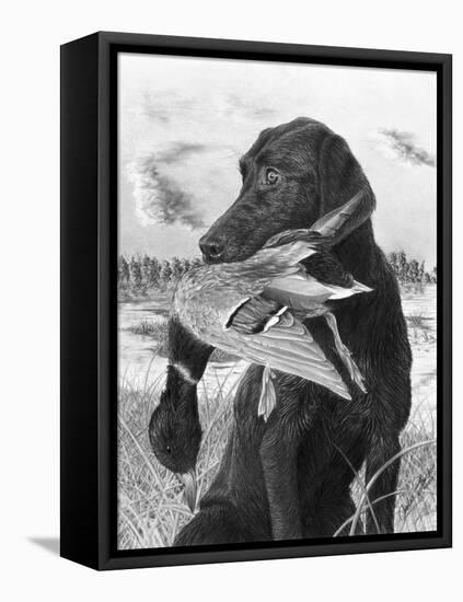 Man's Best Friend-Chuck Black-Framed Stretched Canvas
