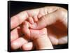 Man's Hand Holding Baby's Hand-Mitch Diamond-Framed Stretched Canvas