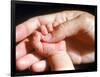 Man's Hand Holding Baby's Hand-Mitch Diamond-Framed Photographic Print