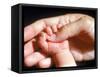 Man's Hand Holding Baby's Hand-Mitch Diamond-Framed Stretched Canvas