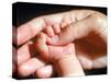 Man's Hand Holding Baby's Hand-Mitch Diamond-Stretched Canvas
