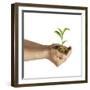Man's Hands Holding Soil with a Little Growing Green Plant-null-Framed Art Print