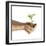 Man's Hands Holding Soil with a Little Growing Green Plant-null-Framed Art Print