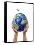 Man's Hands Holding the Planet Earth, with a Jet Aircraft Flying Above-null-Framed Stretched Canvas