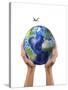 Man's Hands Holding the Planet Earth, with a Jet Aircraft Flying Above-null-Stretched Canvas