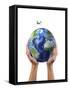 Man's Hands Holding the Planet Earth, with a Jet Aircraft Flying Above-null-Framed Stretched Canvas