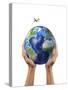 Man's Hands Holding the Planet Earth, with a Jet Aircraft Flying Above-null-Stretched Canvas