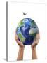 Man's Hands Holding the Planet Earth, with a Jet Aircraft Flying Above-null-Stretched Canvas