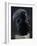 Man's Head, Stone Statue-null-Framed Giclee Print