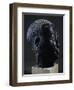 Man's Head, Stone Statue-null-Framed Giclee Print