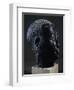 Man's Head, Stone Statue-null-Framed Giclee Print