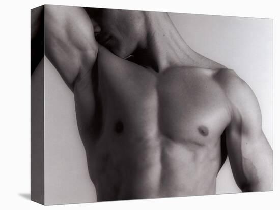 Man's Upper Body-Cristina-Stretched Canvas
