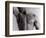 Man's Upper Body-Cristina-Framed Photographic Print