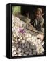 Man Selling Garlic, Bazaar, Central Kabul, Afghanistan-Jane Sweeney-Framed Stretched Canvas