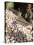 Man Selling Garlic, Bazaar, Central Kabul, Afghanistan-Jane Sweeney-Stretched Canvas
