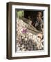 Man Selling Garlic, Bazaar, Central Kabul, Afghanistan-Jane Sweeney-Framed Photographic Print