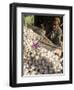 Man Selling Garlic, Bazaar, Central Kabul, Afghanistan-Jane Sweeney-Framed Photographic Print