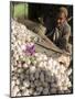 Man Selling Garlic, Bazaar, Central Kabul, Afghanistan-Jane Sweeney-Mounted Photographic Print