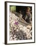 Man Selling Garlic, Bazaar, Central Kabul, Afghanistan-Jane Sweeney-Framed Photographic Print